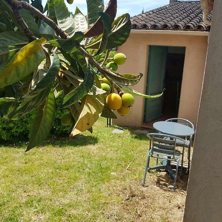 Grand Studio La Roquette-sur-Siagne Zewnętrze zdjęcie